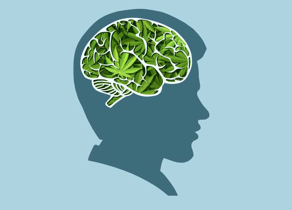 Марихуана мозг марихуана вред последствия
