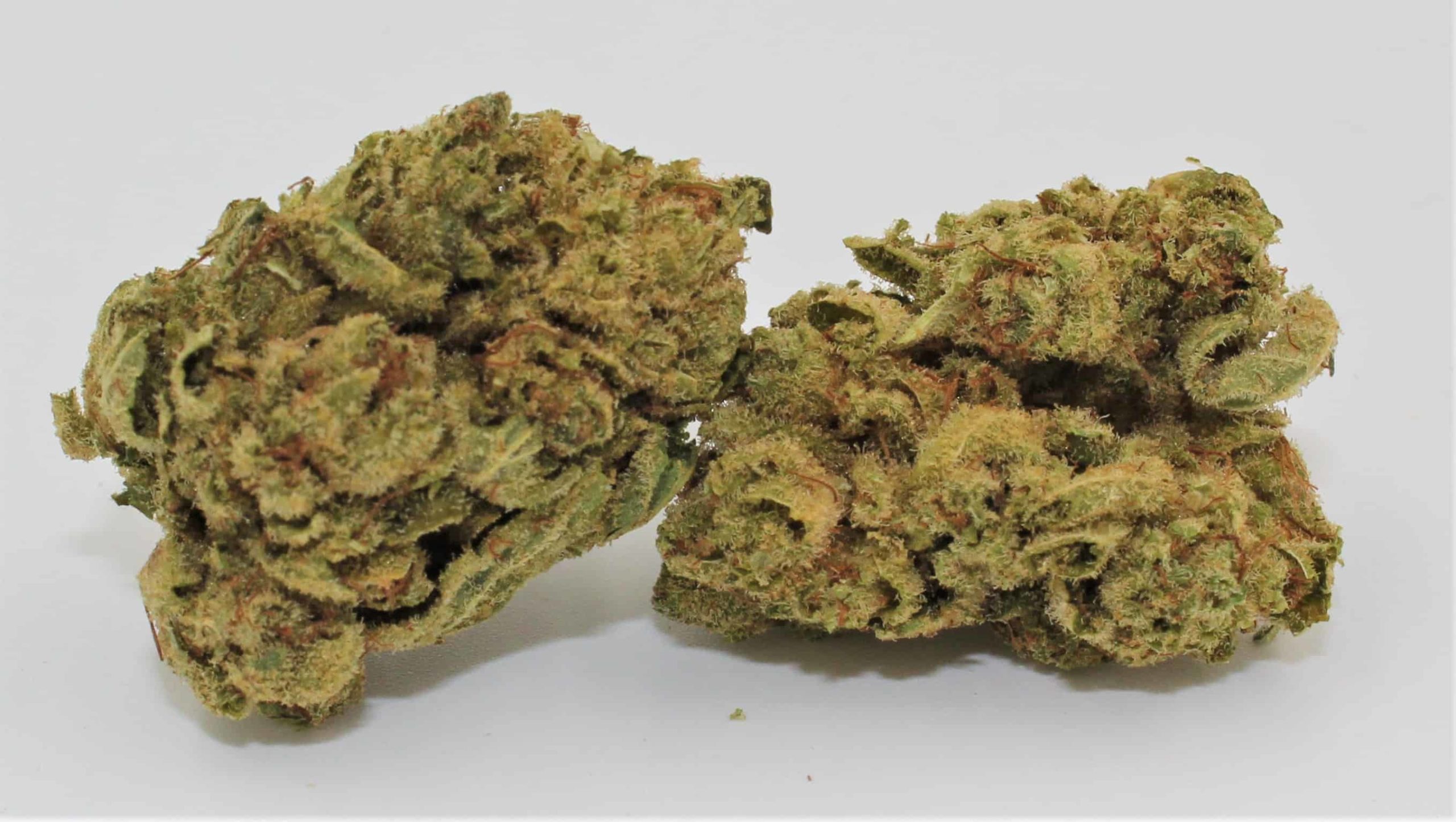 Gorilla Glue #4 Smalls (26% THC )- Oz - CALI XPRESS California Weed  Delivery Service