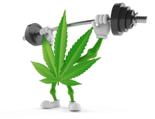 How Does Marijuana Affect Your Workout?