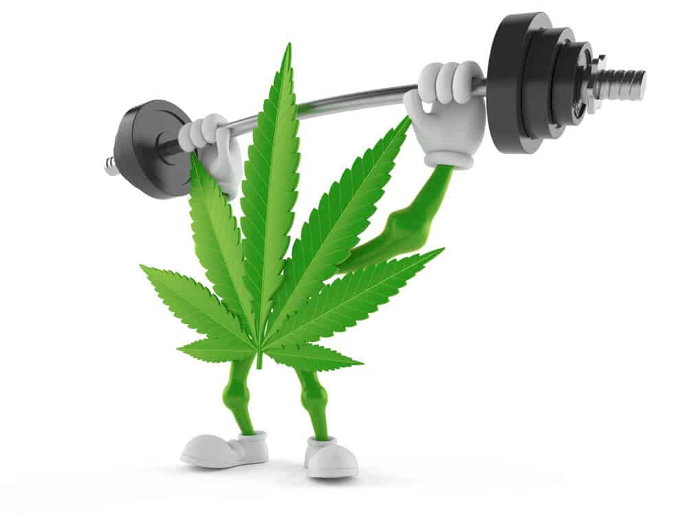 How Does Marijuana Affect Your Workout