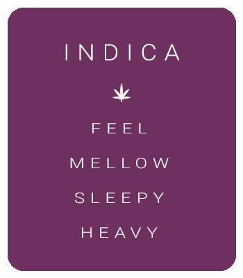 INDICA | Feel, mellow, sleepy, heavy