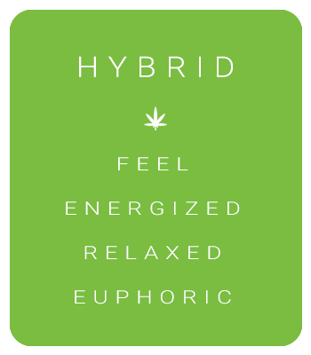 HYBRID | Feel energized, relaxed, euphoric
