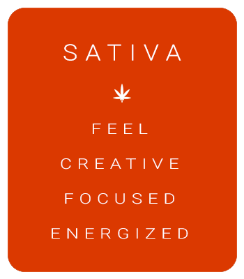 SATIVA | FEEL, Creative, Focused and Energized