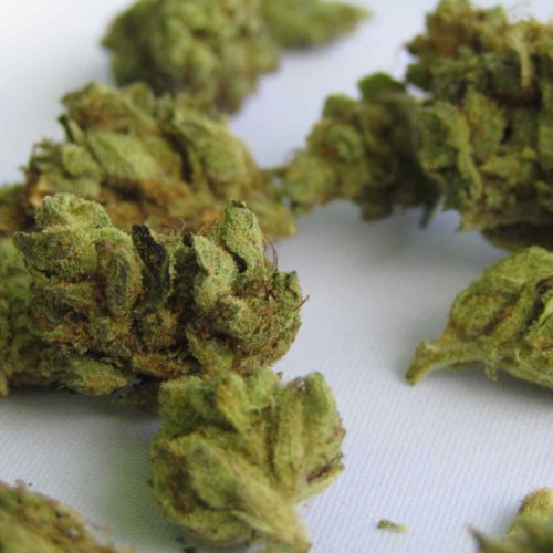 Marijuana Deals with the Highest THC Levels