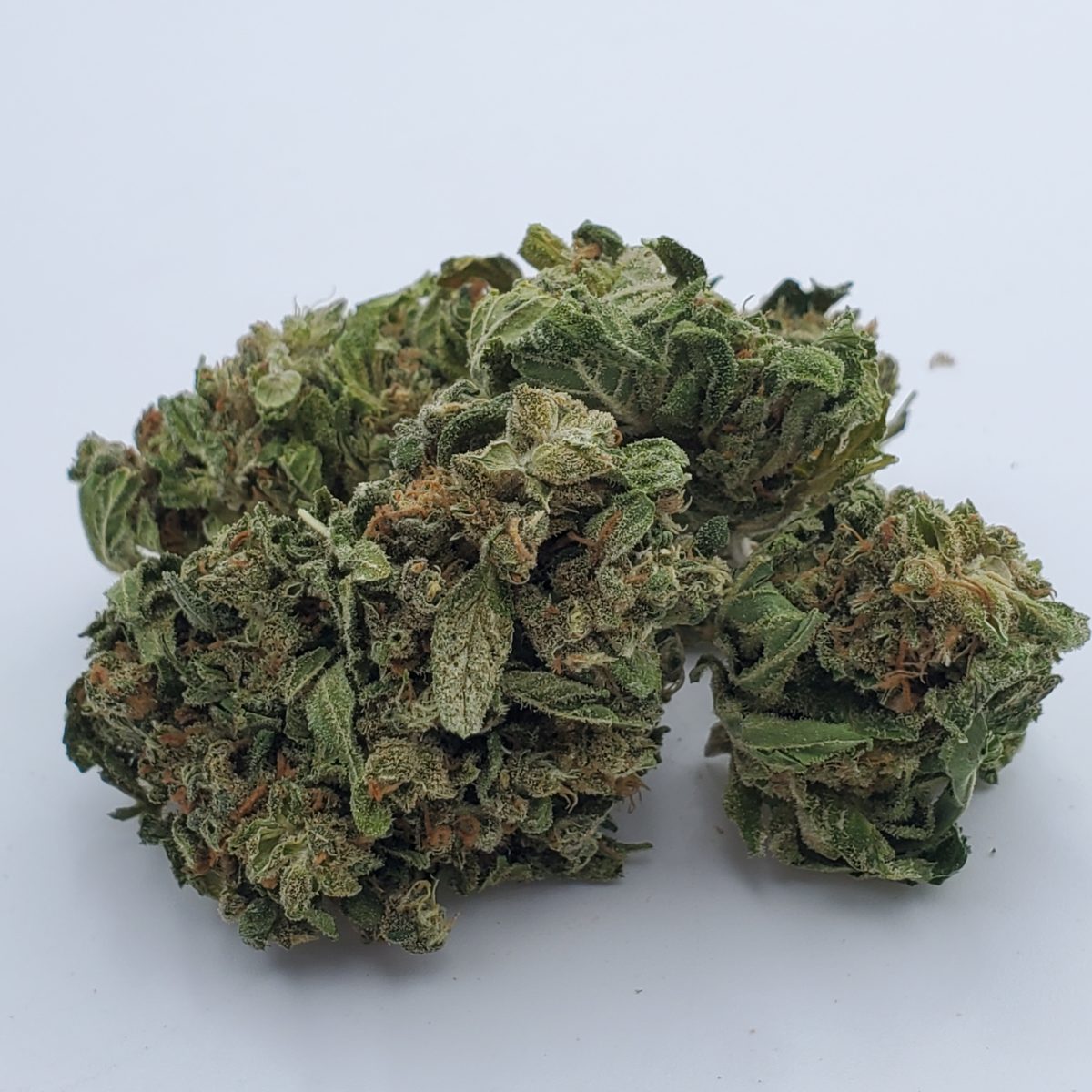 Jack Herer 24 THC 1 Oz CALI XPRESS California Weed Delivery Service